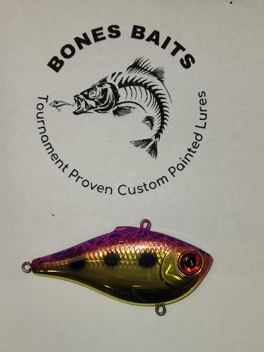 Custom Painted Rapala Rippin Raps