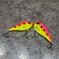 Custom Painted Rapala Rippin Raps